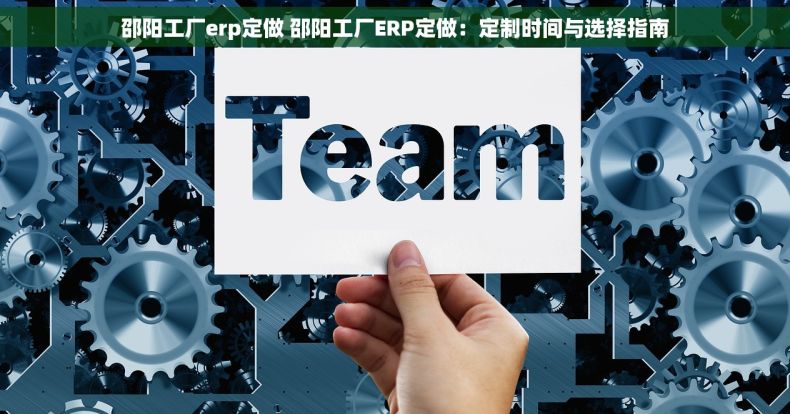 邵阳工厂erp定做 邵阳工厂ERP定做：定制时间与选择指南