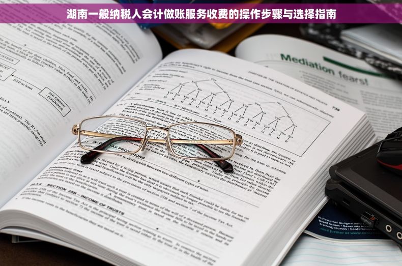 湖南一般纳税人会计做账服务收费的操作步骤与选择指南