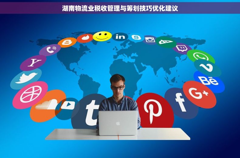 湖南物流业税收管理与筹划技巧优化建议