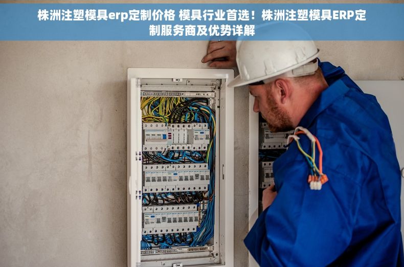 株洲注塑模具erp定制价格 模具行业首选！株洲注塑模具ERP定制服务商及优势详解