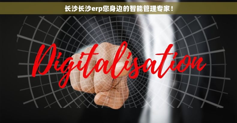 长沙长沙erp您身边的智能管理专家！