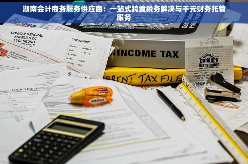 湖南会计商务服务供应商：一站式跨境税务解决与千元财务托管服务