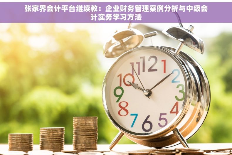 张家界会计平台继续教：企业财务管理案例分析与中级会计实务学习方法