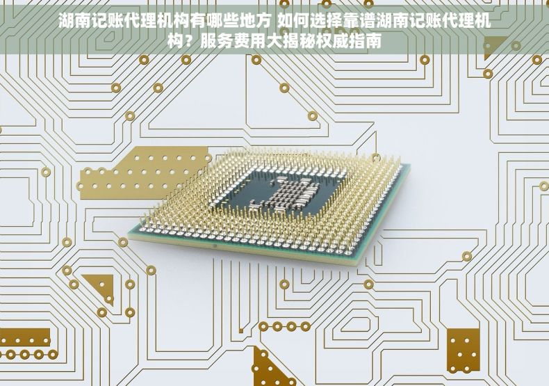 湖南记账代理机构有哪些地方 如何选择靠谱湖南记账代理机构？服务费用大揭秘权威指南