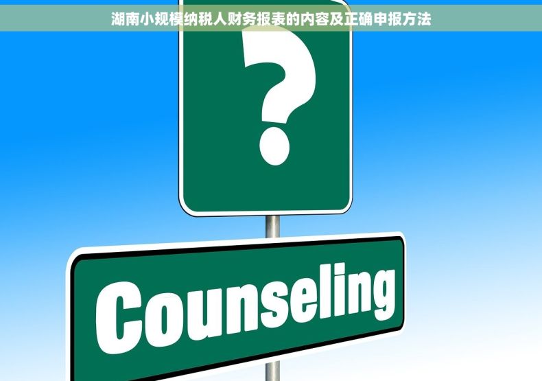 湖南小规模纳税人财务报表的内容及正确申报方法