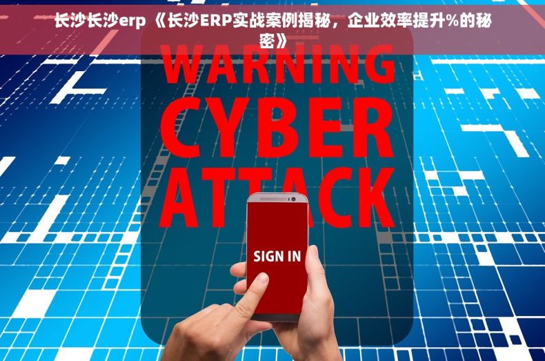 长沙长沙erp 《长沙ERP实战案例揭秘，企业效率提升%的秘密》
