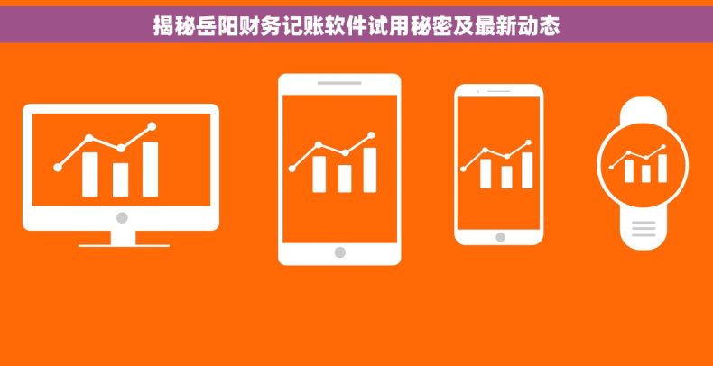 揭秘岳阳财务记账软件试用秘密及最新动态