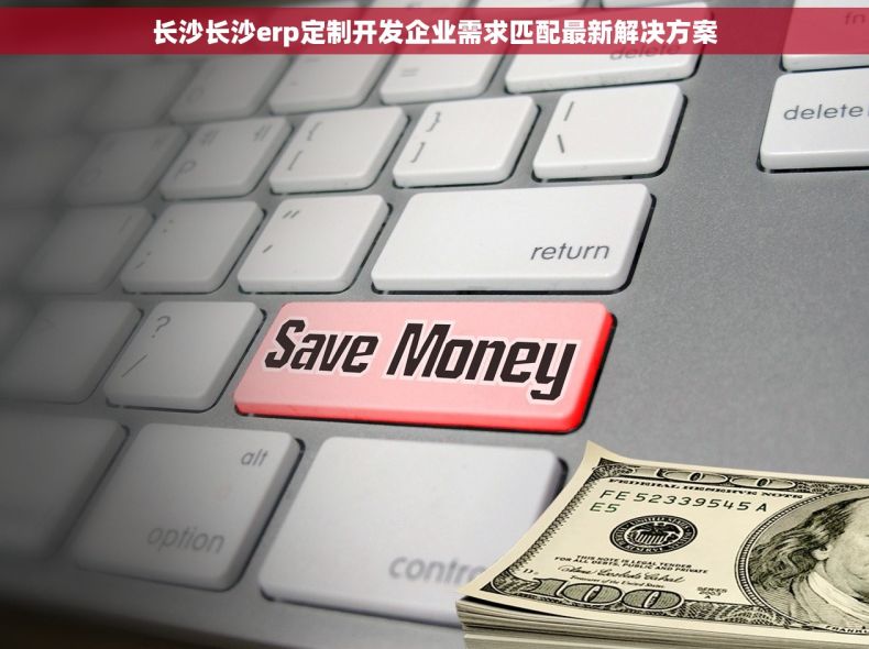 长沙长沙erp定制开发企业需求匹配最新解决方案
