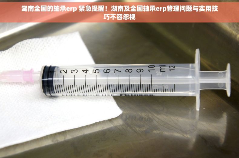 湖南全国的轴承erp 紧急提醒！湖南及全国轴承erp管理问题与实用技巧不容忽视