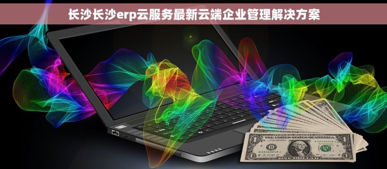 长沙长沙erp云服务最新云端企业管理解决方案