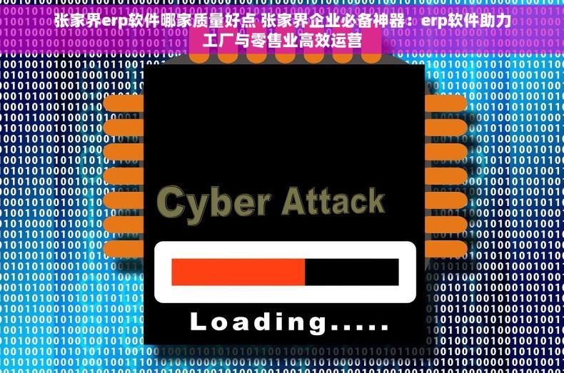 张家界erp软件哪家质量好点 张家界企业必备神器：erp软件助力工厂与零售业高效运营