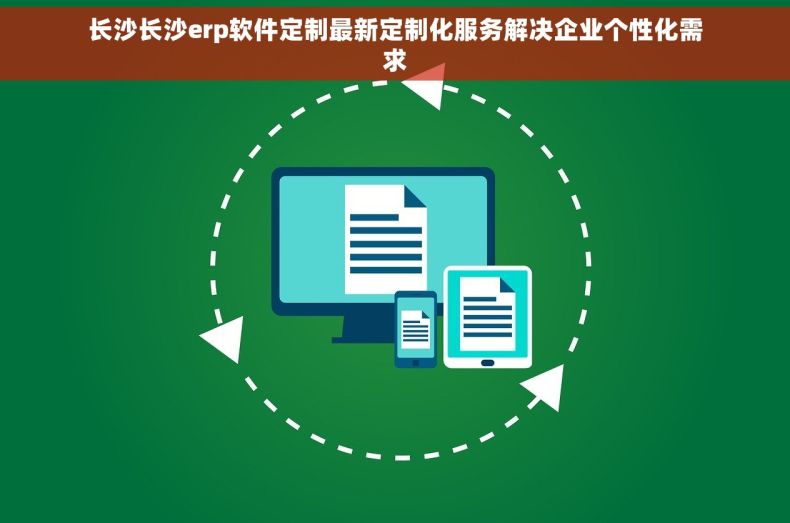 长沙长沙erp软件定制最新定制化服务解决企业个性化需求