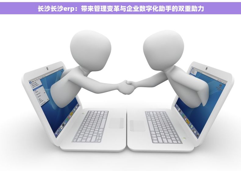 长沙长沙erp：带来管理变革与企业数字化助手的双重助力