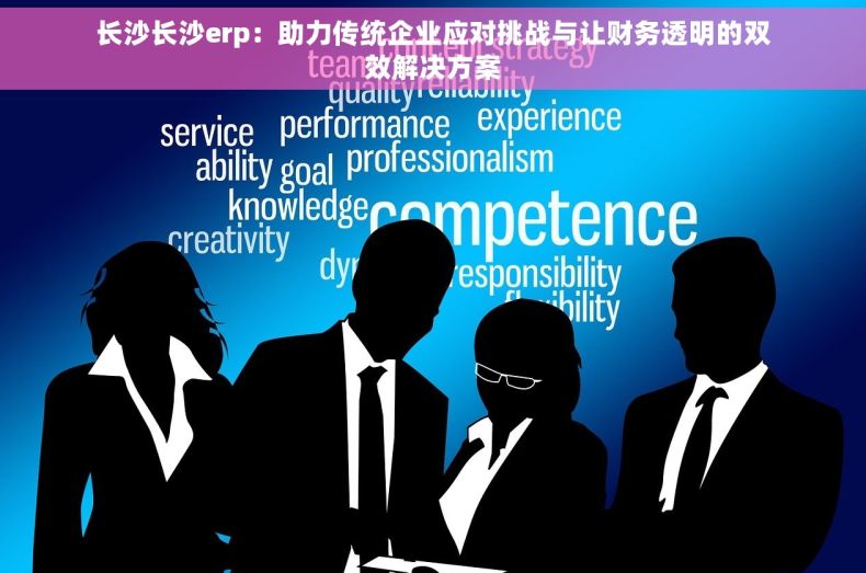 长沙长沙erp：助力传统企业应对挑战与让财务透明的双效解决方案