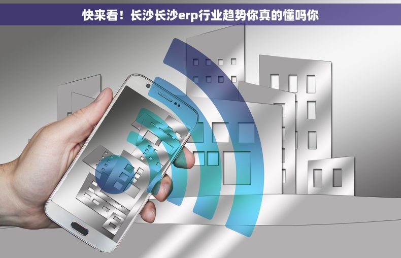 快来看！长沙长沙erp行业趋势你真的懂吗你