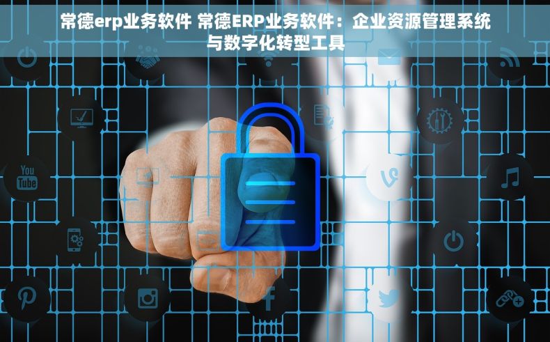 常德erp业务软件 常德ERP业务软件：企业资源管理系统与数字化转型工具