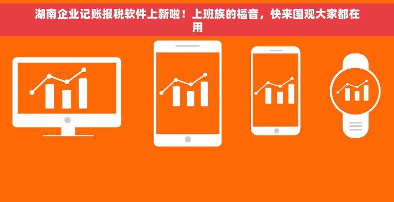 湖南企业记账报税软件上新啦！上班族的福音，快来围观大家都在用