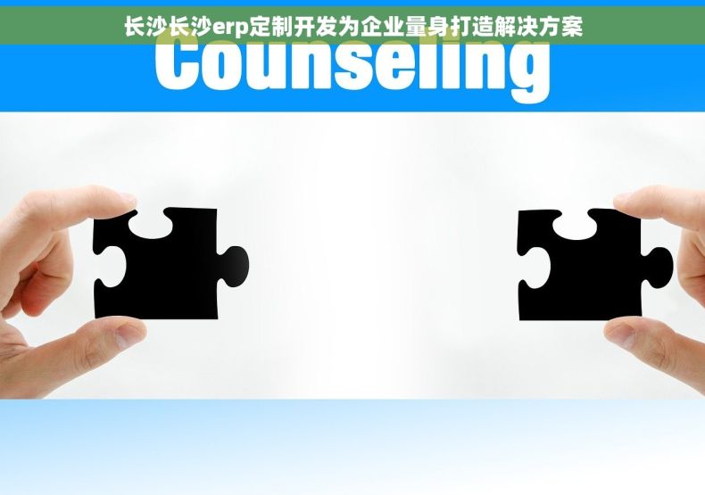 长沙长沙erp定制开发为企业量身打造解决方案