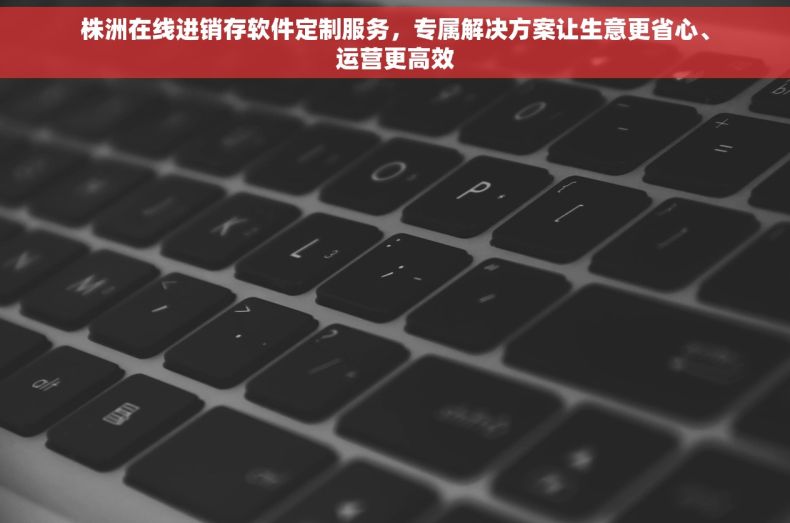 株洲在线进销存软件定制服务，专属解决方案让生意更省心、运营更高效