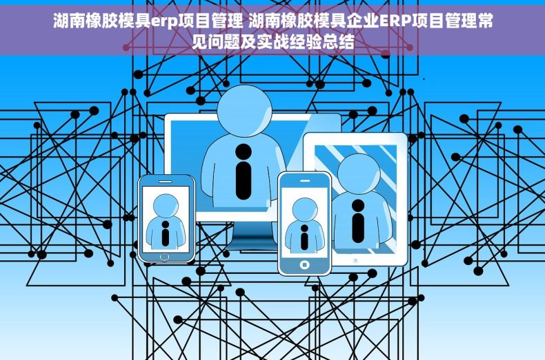 湖南橡胶模具erp项目管理 湖南橡胶模具企业ERP项目管理常见问题及实战经验总结