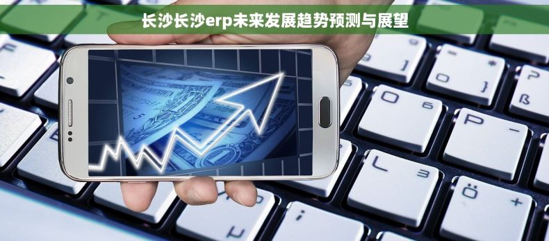 长沙长沙erp未来发展趋势预测与展望