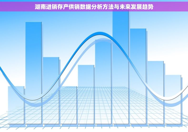 湖南进销存产供销数据分析方法与未来发展趋势