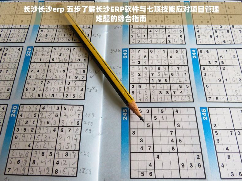 长沙长沙erp 五步了解长沙ERP软件与七项技能应对项目管理难题的综合指南