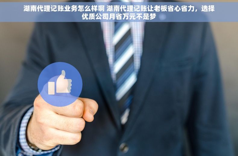 湖南代理记账业务怎么样啊 湖南代理记账让老板省心省力，选择优质公司月省万元不是梦