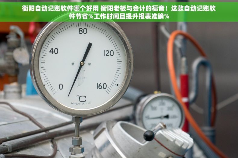 衡阳自动记账软件哪个好用 衡阳老板与会计的福音！这款自动记账软件节省%工作时间且提升报表准确%
