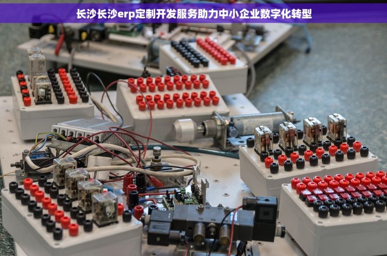 长沙长沙erp定制开发服务助力中小企业数字化转型