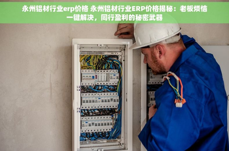 永州铝材行业erp价格 永州铝材行业ERP价格揭秘：老板烦恼一键解决，同行盈利的秘密武器