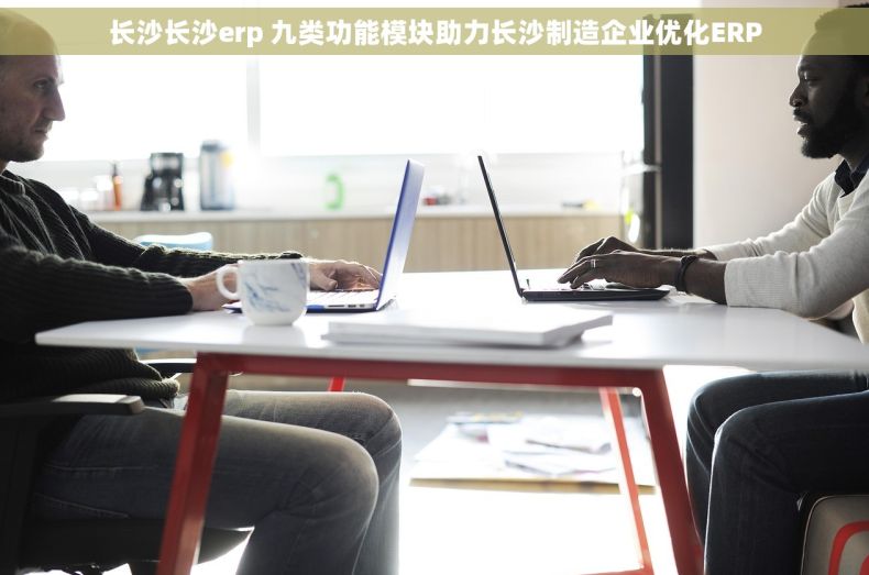 长沙长沙erp 九类功能模块助力长沙制造企业优化ERP