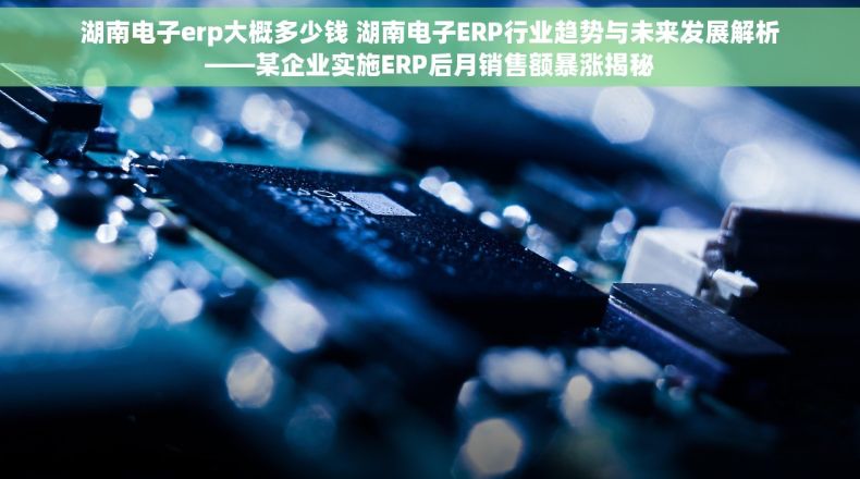 湖南电子erp大概多少钱 湖南电子ERP行业趋势与未来发展解析——某企业实施ERP后月销售额暴涨揭秘