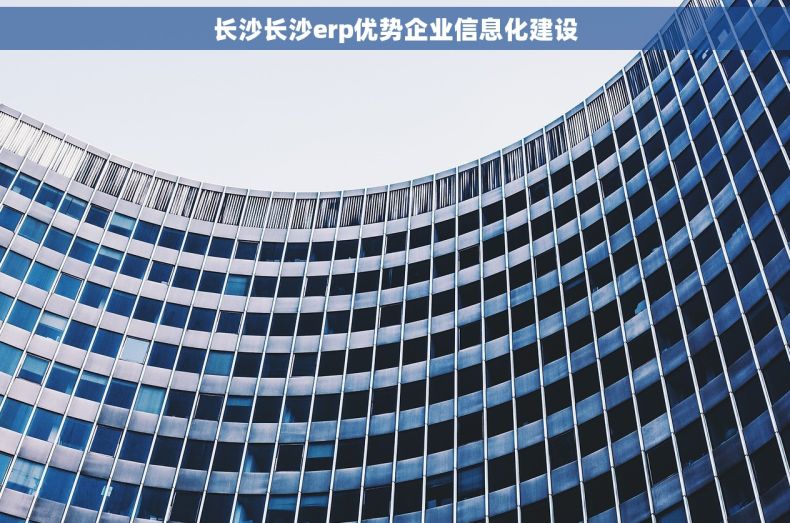 长沙长沙erp优势企业信息化建设