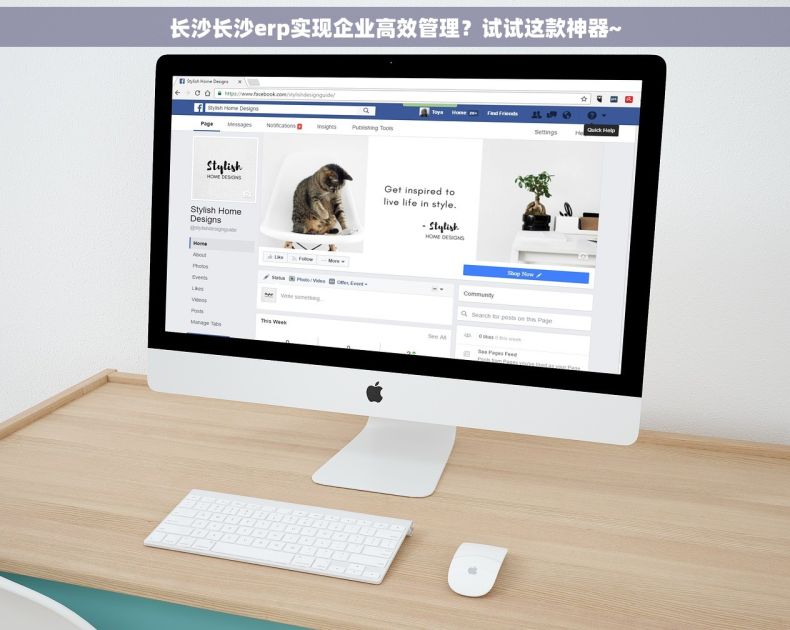 长沙长沙erp实现企业高效管理？试试这款神器~