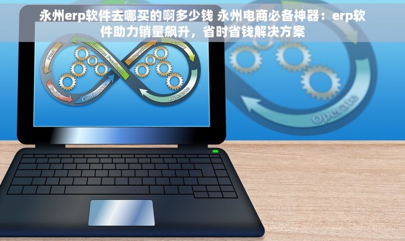 永州erp软件去哪买的啊多少钱 永州电商必备神器：erp软件助力销量飙升，省时省钱解决方案