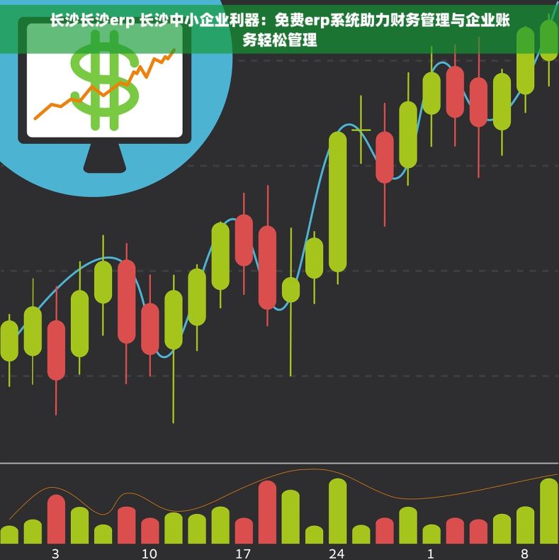 长沙长沙erp 长沙中小企业利器：免费erp系统助力财务管理与企业账务轻松管理