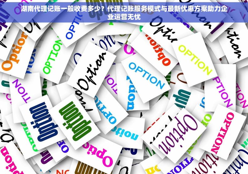 湖南代理记账一般收费多少？代理记账服务模式与最新优惠方案助力企业运营无忧