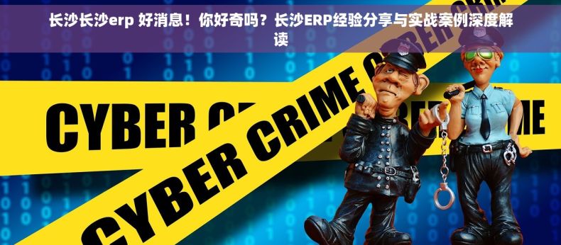 长沙长沙erp 好消息！你好奇吗？长沙ERP经验分享与实战案例深度解读
