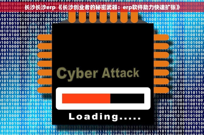长沙长沙erp 《长沙创业者的秘密武器：erp软件助力快速扩张》