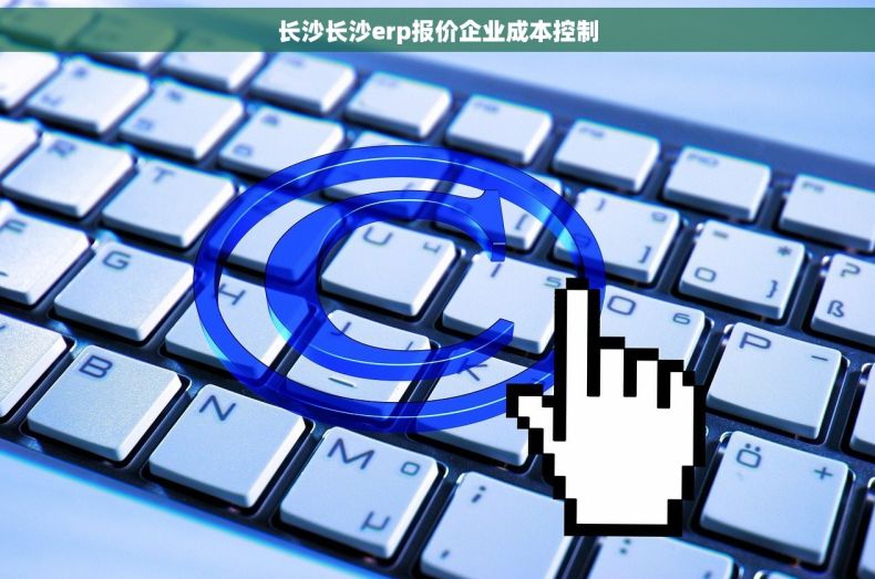 长沙长沙erp报价企业成本控制