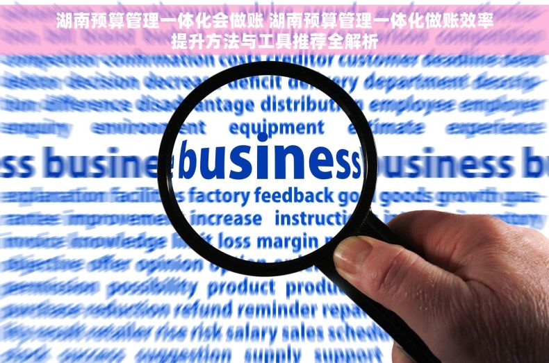 湖南预算管理一体化会做账 湖南预算管理一体化做账效率提升方法与工具推荐全解析