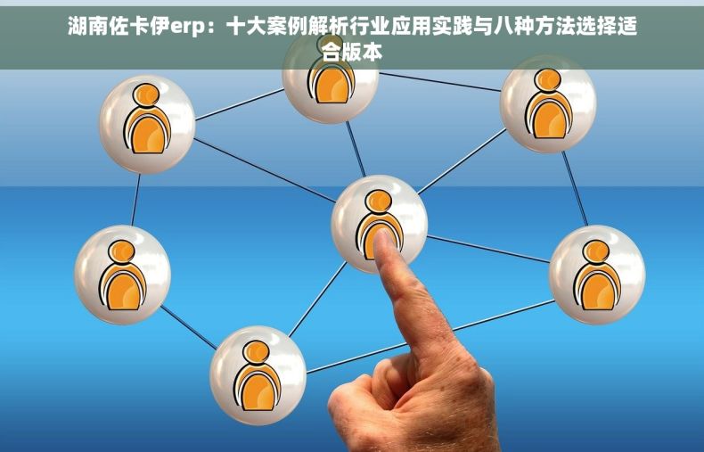 湖南佐卡伊erp：十大案例解析行业应用实践与八种方法选择适合版本