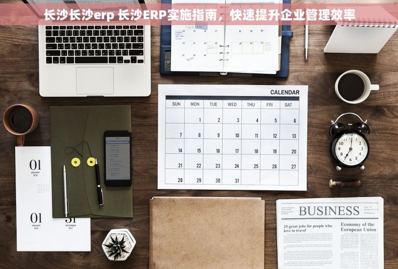 长沙长沙erp 长沙ERP实施指南，快速提升企业管理效率