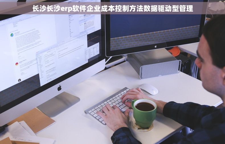 长沙长沙erp软件企业成本控制方法数据驱动型管理