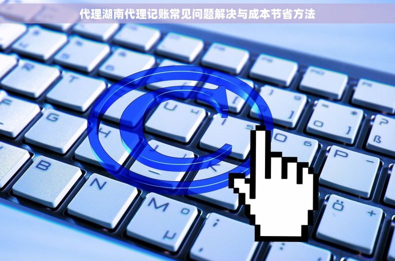 代理湖南代理记账常见问题解决与成本节省方法