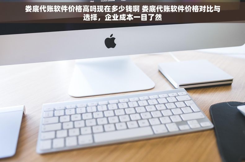 娄底代账软件价格高吗现在多少钱啊 娄底代账软件价格对比与选择，企业成本一目了然