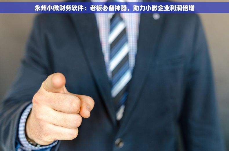 永州小微财务软件：老板必备神器，助力小微企业利润倍增