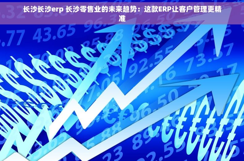 长沙长沙erp 长沙零售业的未来趋势：这款ERP让客户管理更精准