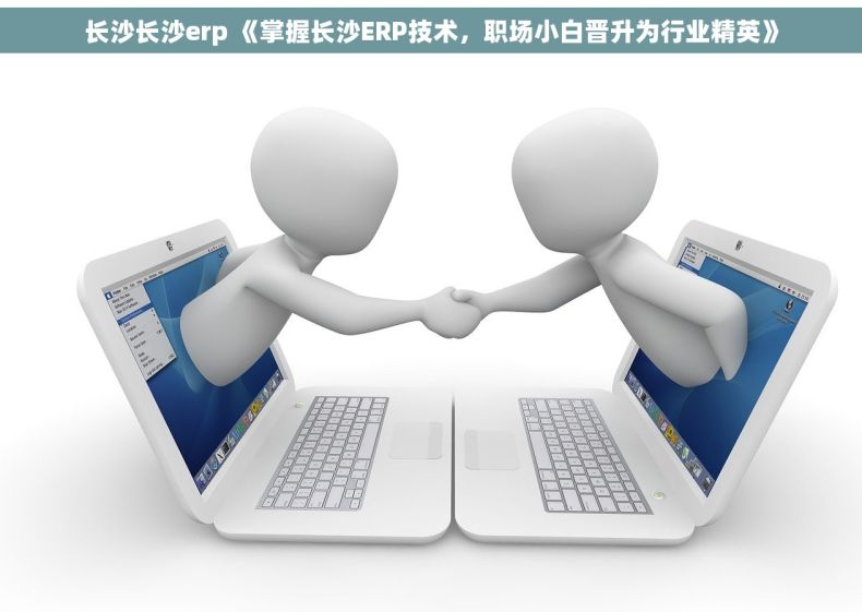 长沙长沙erp 《掌握长沙ERP技术，职场小白晋升为行业精英》